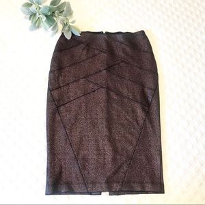 Express Pencil Skirt